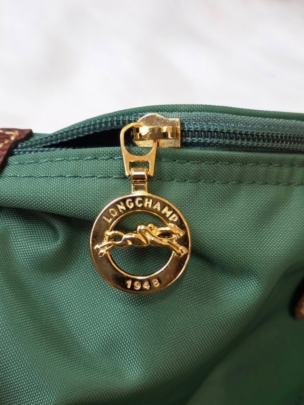 🍂New Forest Green Longchamp - Picture 9 of 11